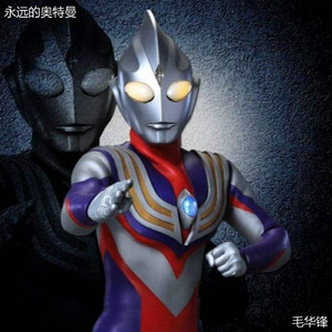 免费的操鸡巴视频
