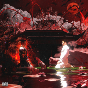 免费的操鸡巴视频
