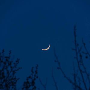 免费的操鸡巴视频
