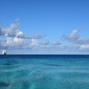 免费的操鸡巴视频
